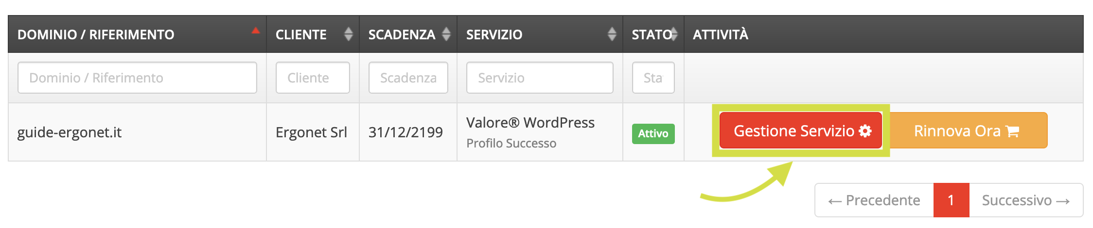 WebPanel Ergonet - Gestione servizio hosting<br>